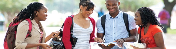 Careers and Opportunities Banner