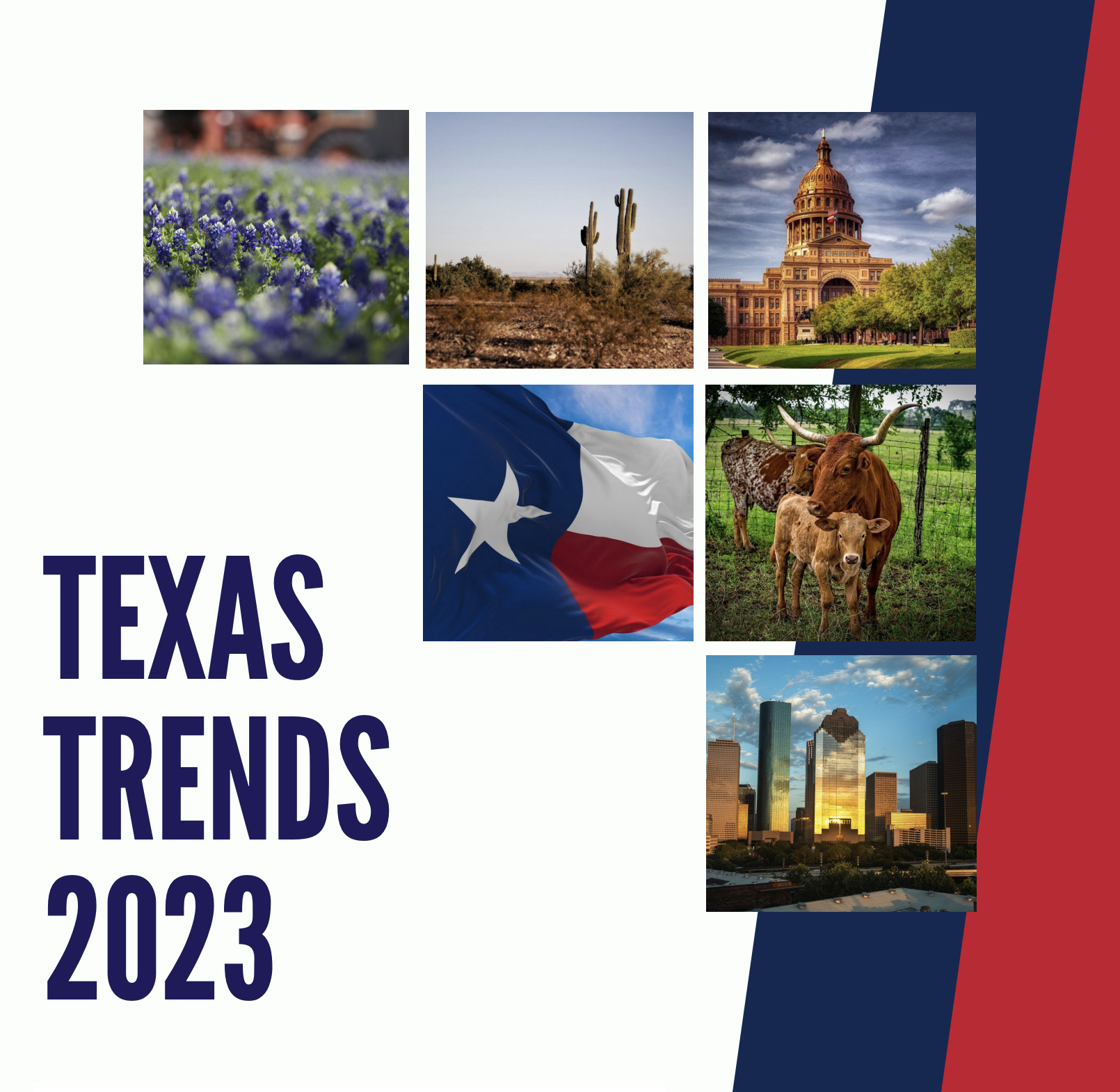 texas-trends-2023.png
