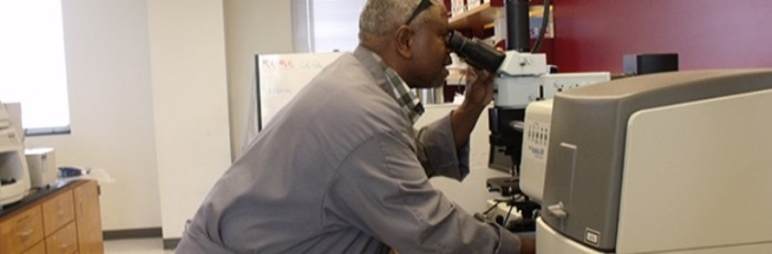 Professor working in a Research Lab