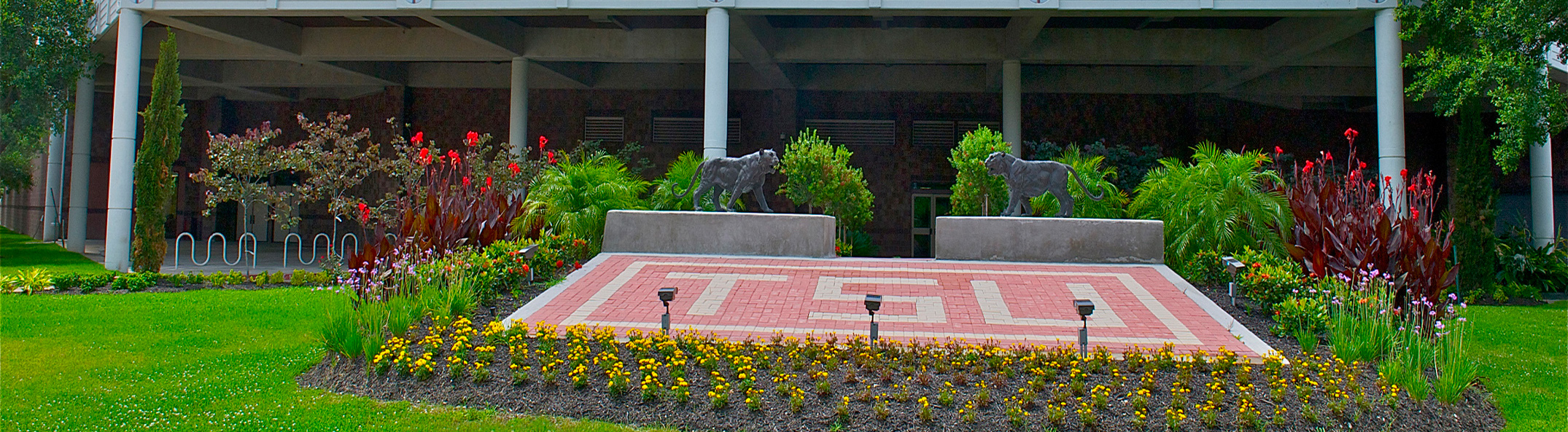 Texas Southern University