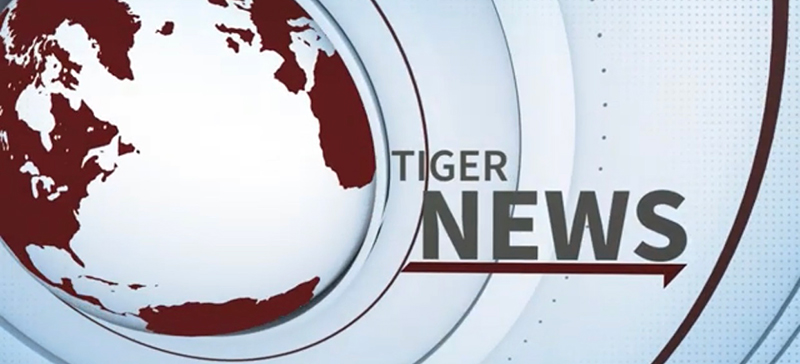 Tiger News