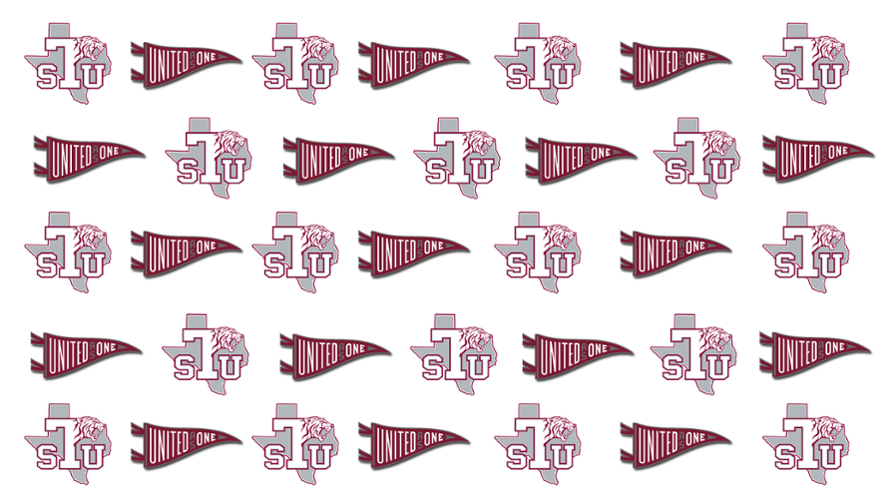 zoom-blujean-background-tsu-athletics-1