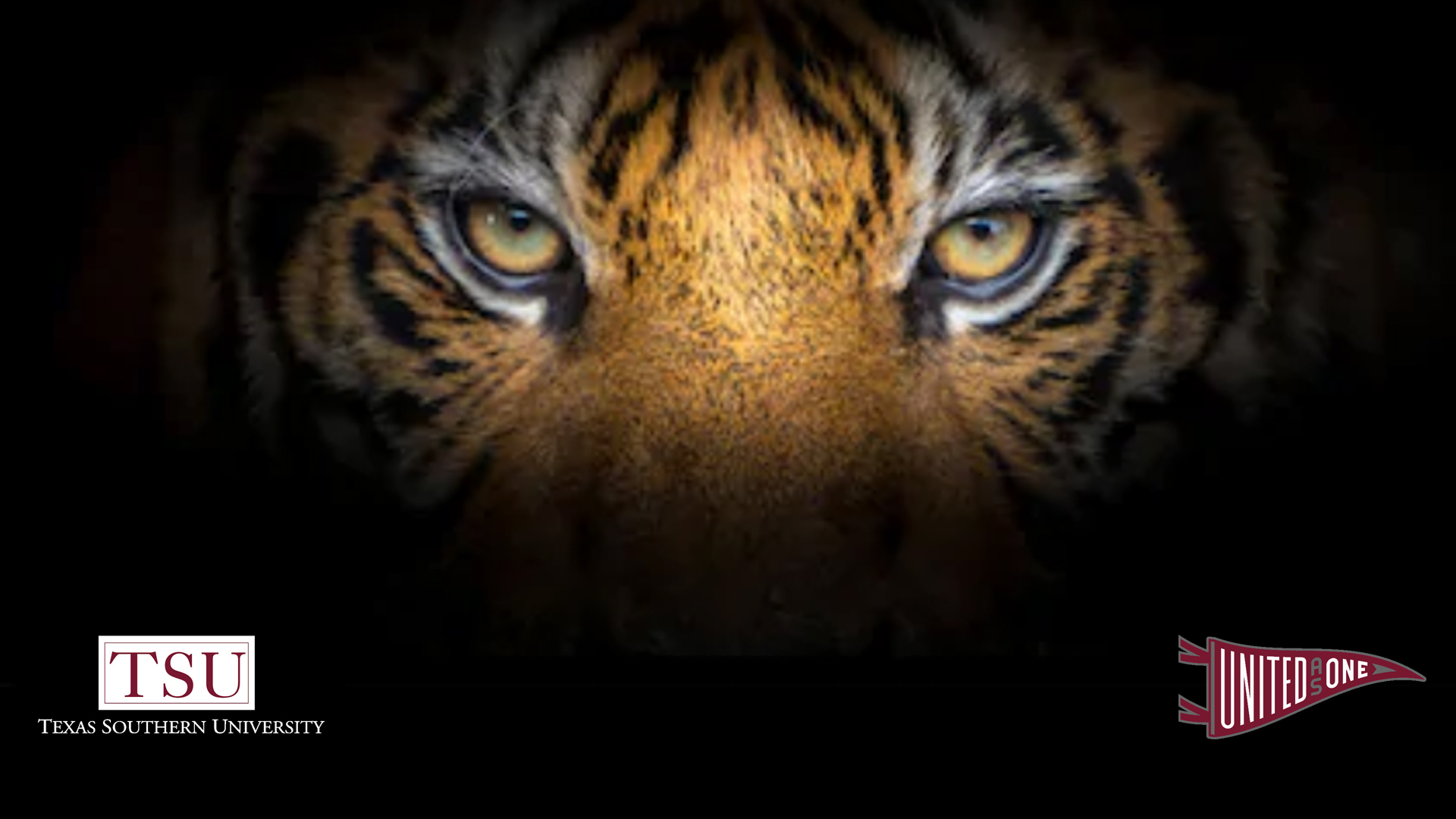 zoom-blujean-background-tsu-tiger-eyes