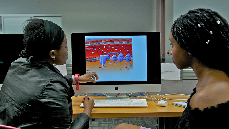 students-in-front-of-computer