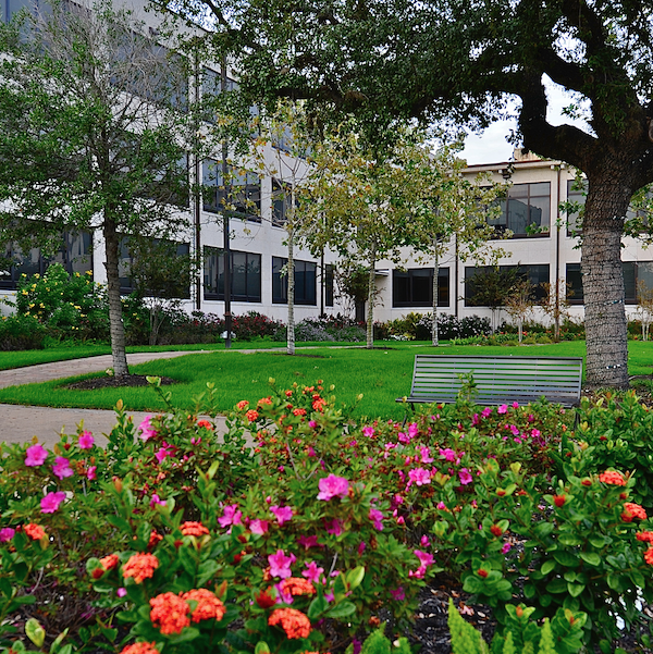 Hannah Hall flowers and landscape
