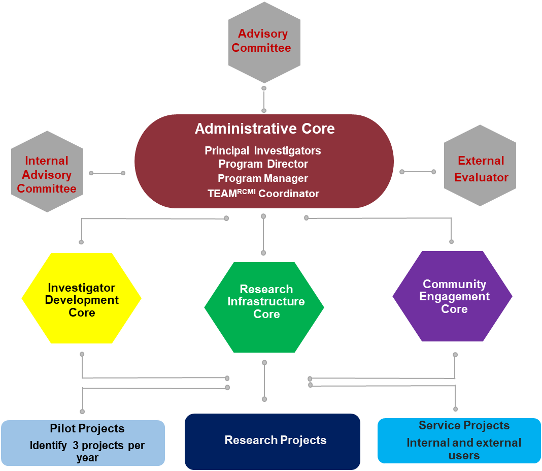 CBMHR Org Chart