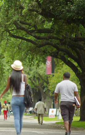 campus