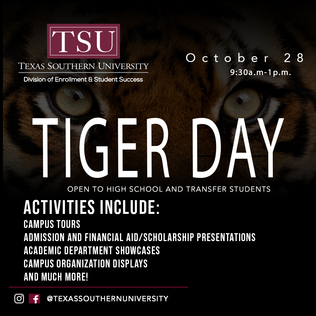 Tiger Day Flyer