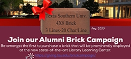 brick campaign 19