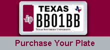 tsu customized license plate