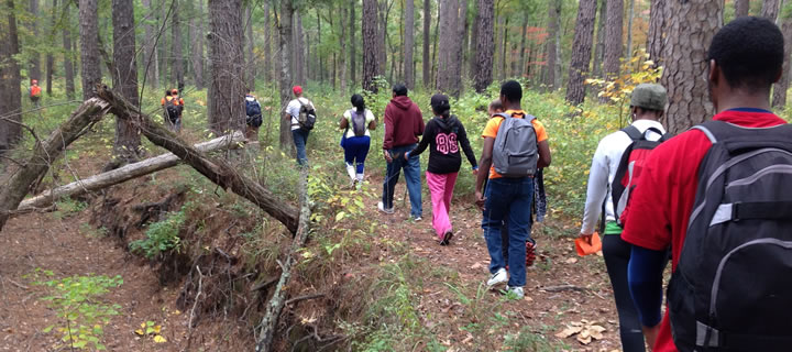 Group hiking through forest