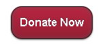 donate-button